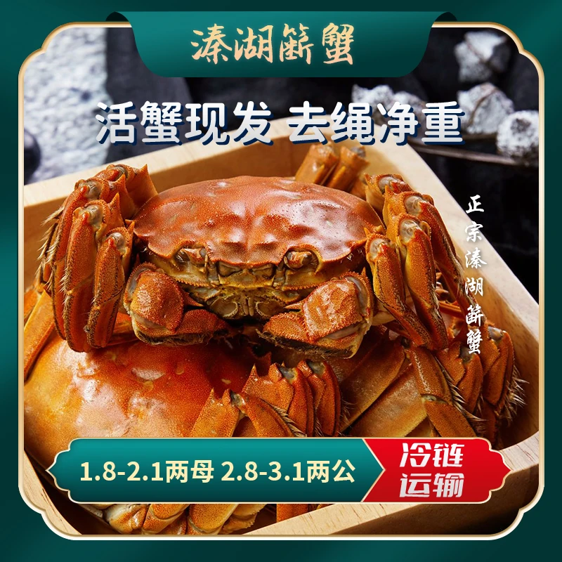 【活蟹】江苏溱湖簖蟹母（1.8-2.1两）公（2.8-3.1两）5对10只包邮湖蟹