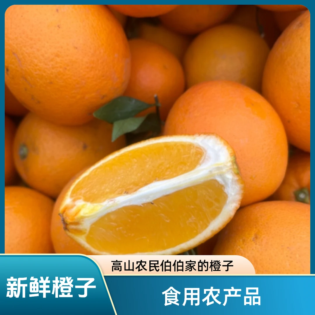 贵州高山农民伯伯家的橙子