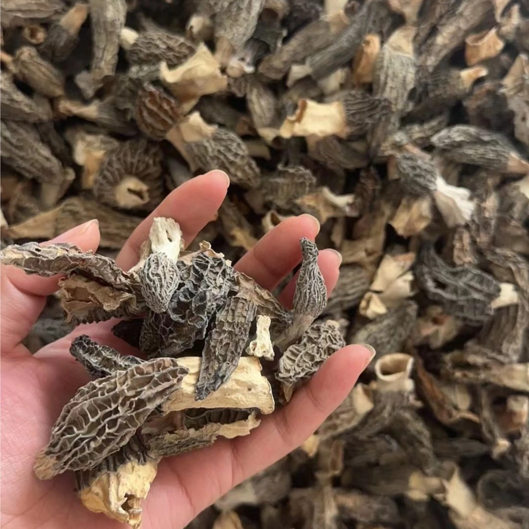 【破损丑羊肚菌】实惠头茬菌菇  煲汤 250g产地直销  自吃实惠