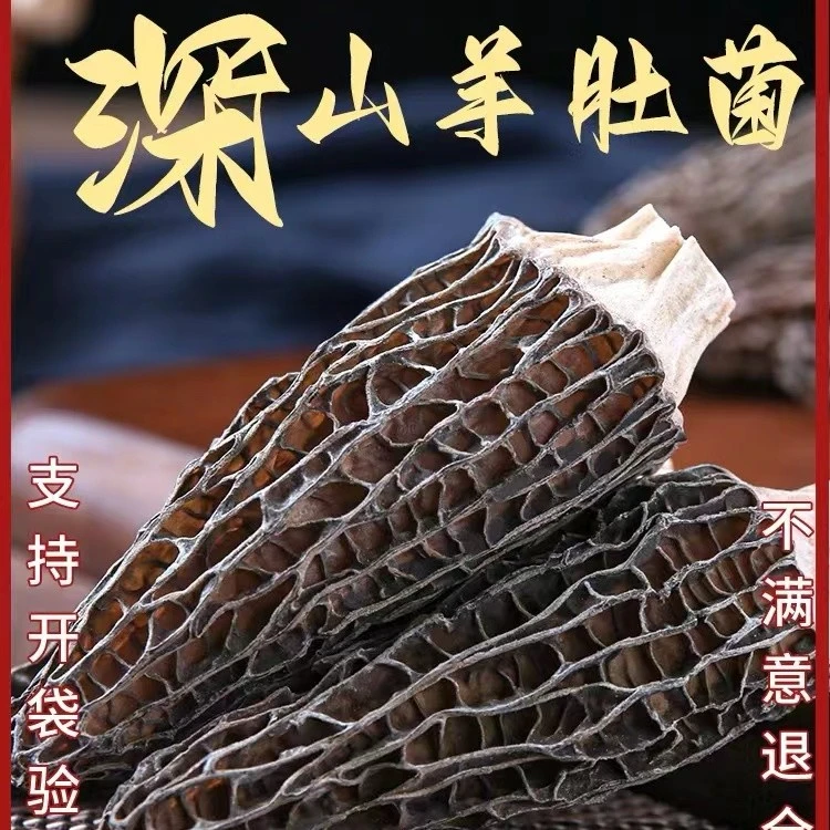 【2月新货】高山羊肚菌  4-8cm 肉质肥厚 产地直销 煲鸡汤