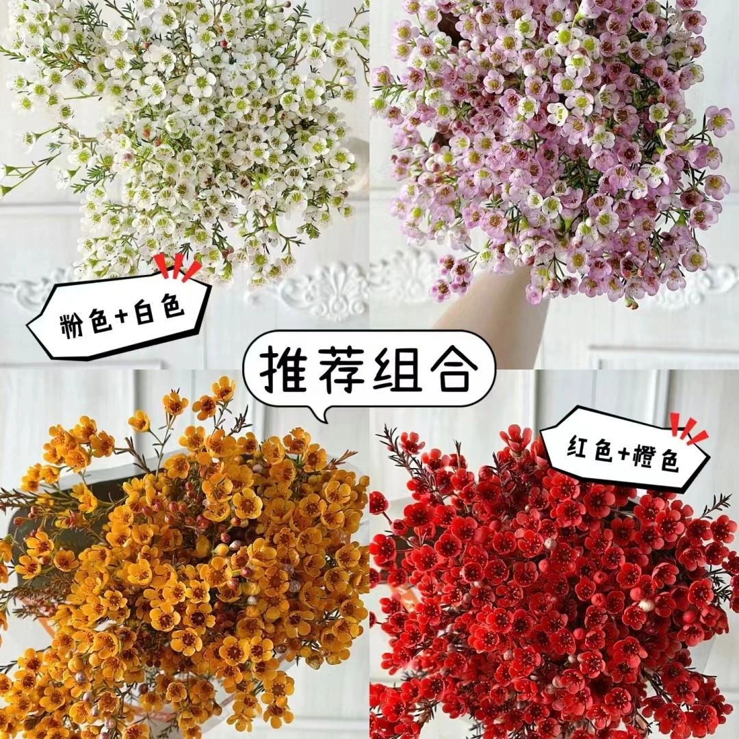 【花期超久】新年腊梅 家居瓶插花6-7支/不含瓶。白色黄色红色蓝色随机颜色。花店送花上门