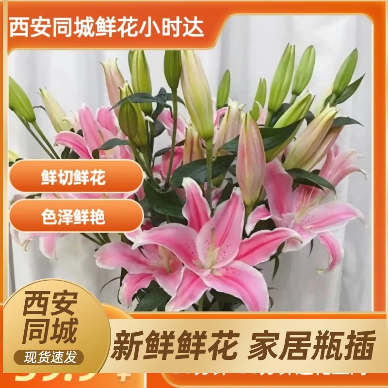 【同城外卖配送】5枝香水百合(生苞半开)颜色自选-生活鲜花家居花瓶插花