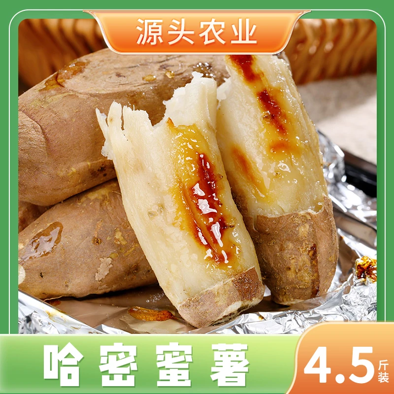 【哈密蜜薯】新鲜白心蜜薯地瓜4.5斤装彩箱S