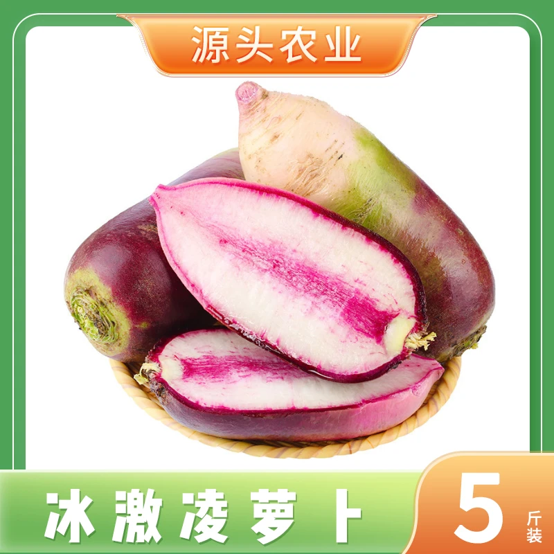 【冰激凌萝卜】山东潍坊冰糖心水果萝卜脆甜爽口5斤装 S