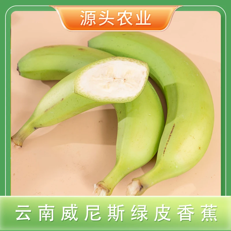 云南威尼斯绿皮香蕉3斤约7-11根/5斤 约12-18根S