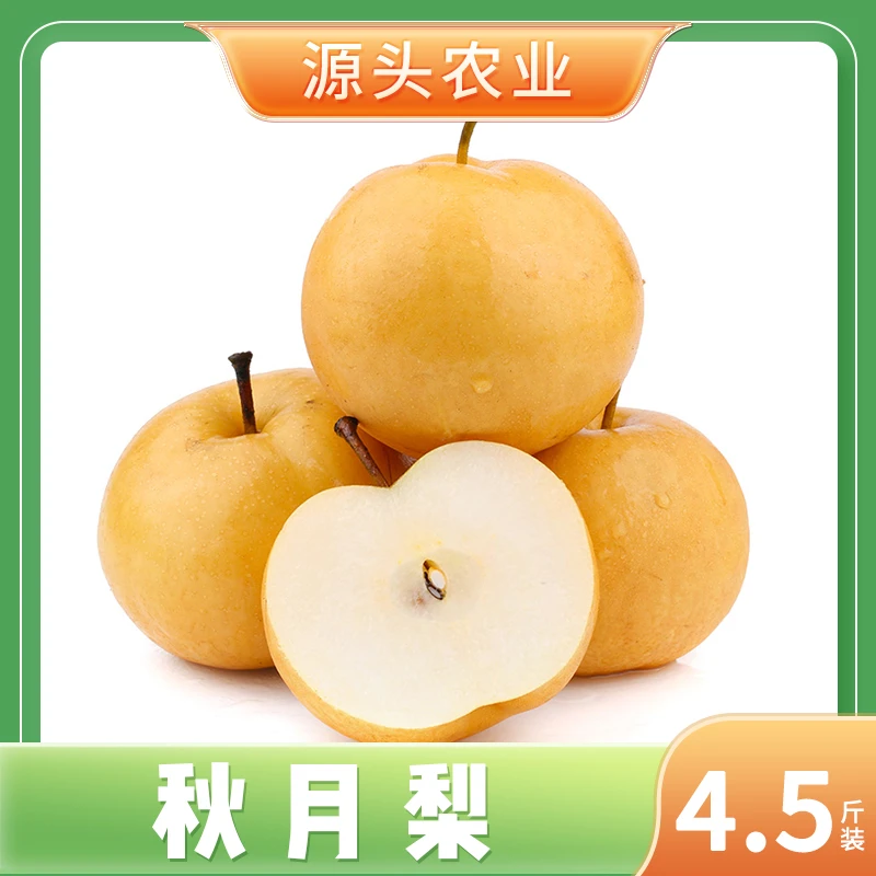 【秋月梨】当季新鲜梨子汁多肉厚 4.5斤装X
