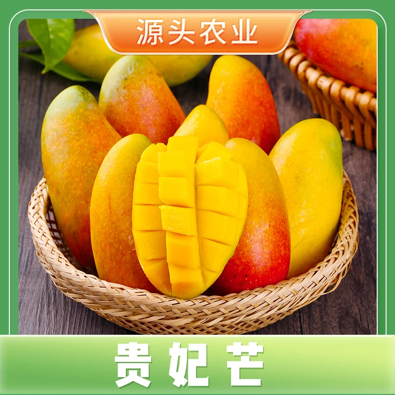 【贵妃芒】海南芒果新鲜当季水果鲜甜农产品4.5斤 SSS