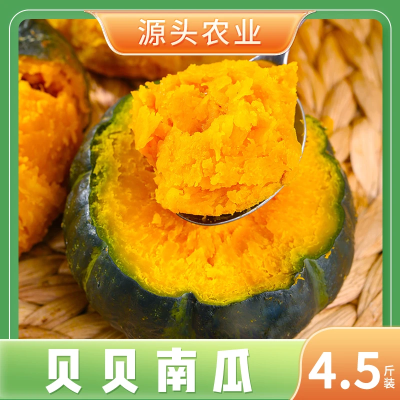 【不粉包赔】贝贝南瓜粉糯香甜板栗味宝宝辅食小南瓜4.5斤S