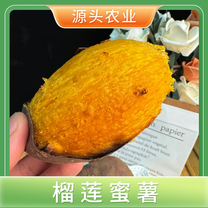 【榴莲蜜薯】正宗黄心红薯香甜软糯香薯4斤装SSS.