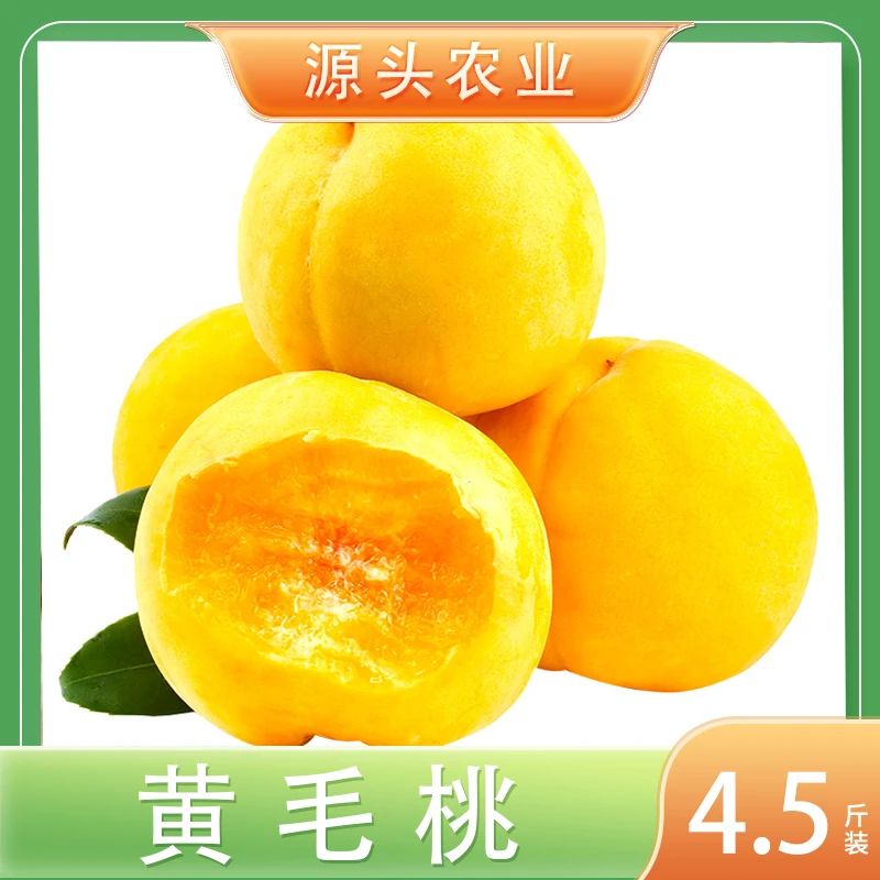 【夏日尝鲜】锦香黄毛桃山东蒙阴毛桃新鲜水果黄桃桃子4.5斤装 T