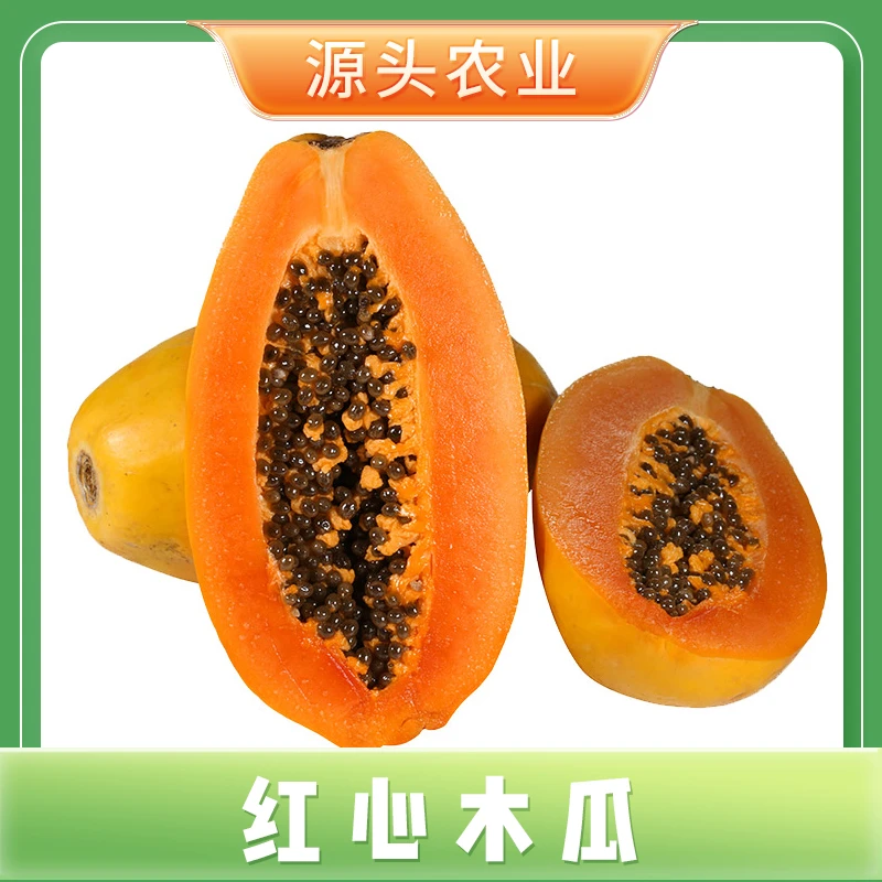 【红心木瓜】广西木瓜新鲜水果肉厚香甜饱满 净重5斤装 S