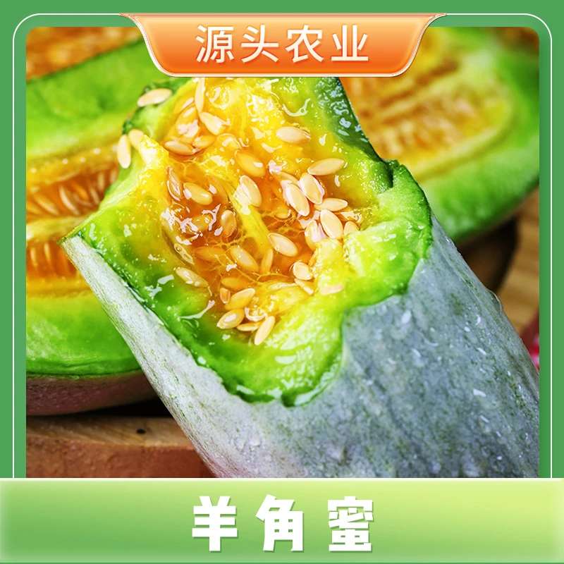 【羊角蜜甜瓜】正宗头茬应季香瓜产地直发4.5斤 约3-7个顺丰/京东S