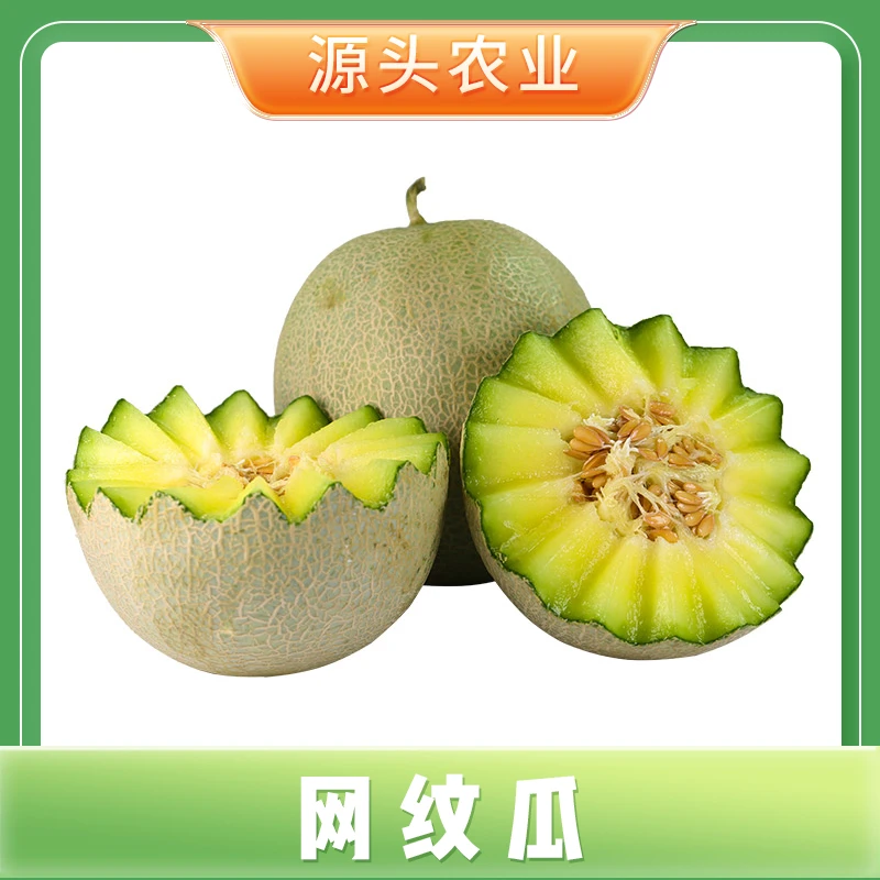 【网纹瓜】新鲜水果甜瓜冰激凌蜜瓜香甜多汁4.5-5斤装 S