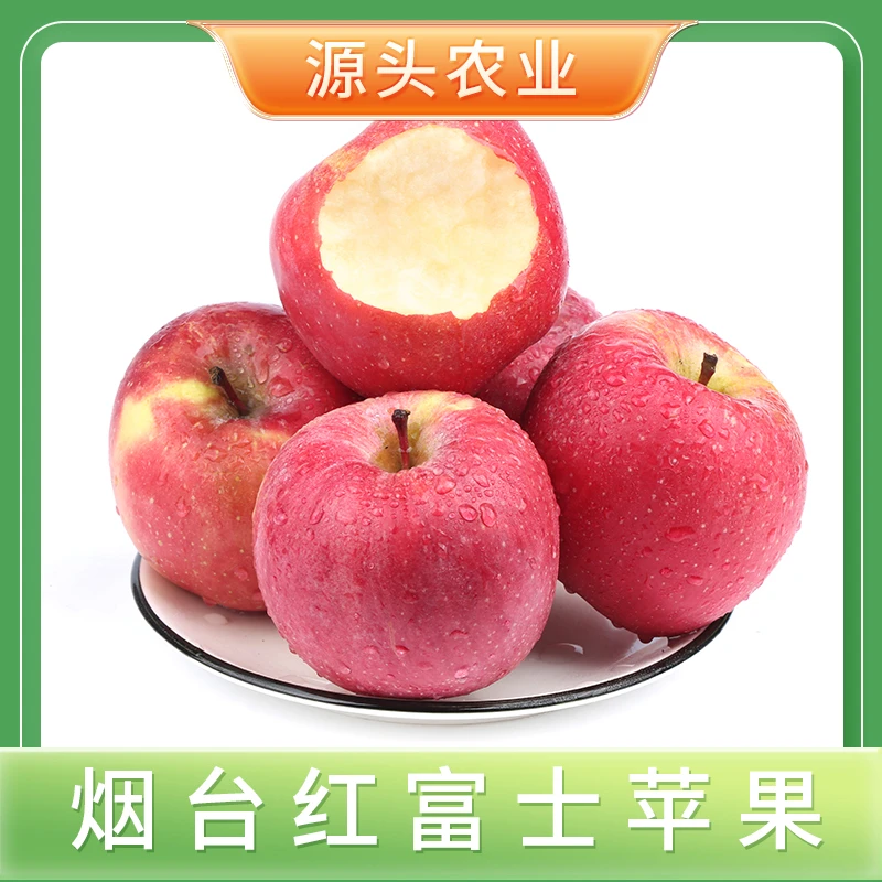 【好品山东专属】【红富士苹果】正宗烟台红富士脆甜水果4.5斤装  S
