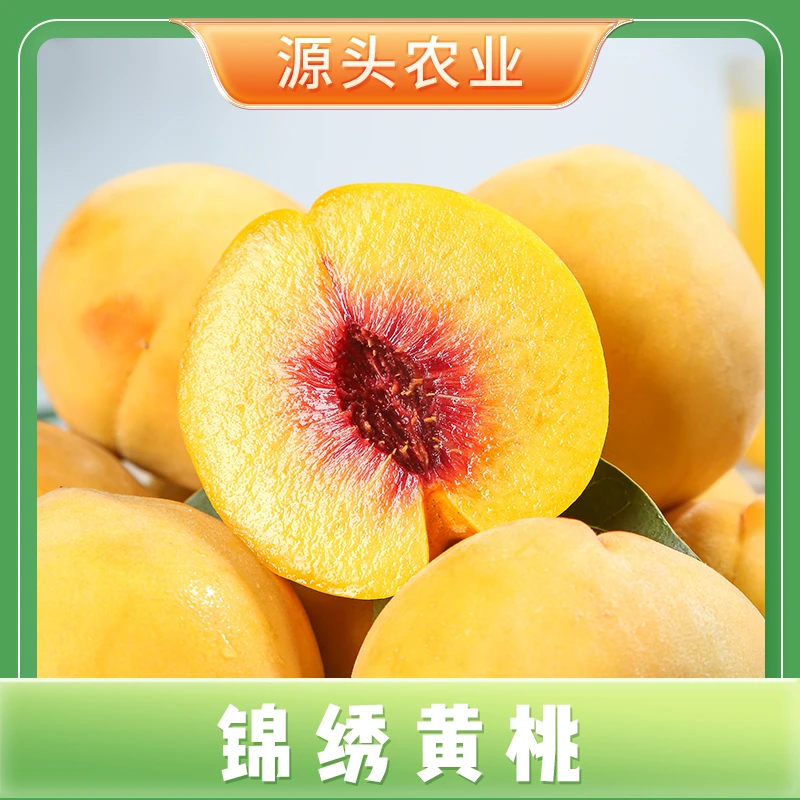【锦绣黄桃】河南毛桃新鲜当季水果黄桃桃子 4.5斤 S