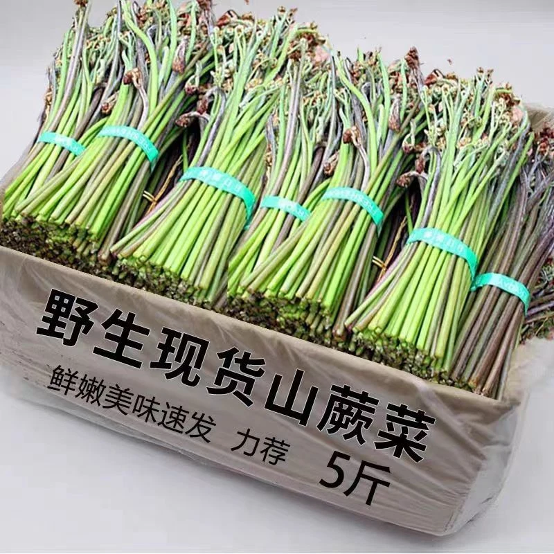 贵州黔东南野生蕨菜2斤包邮