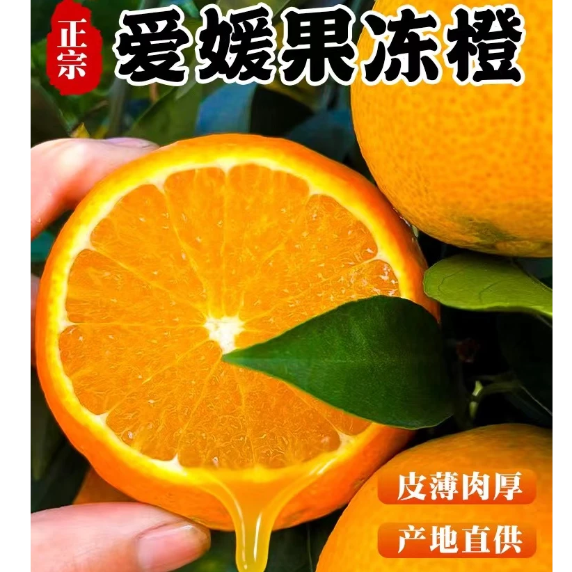 【小春花专属】正宗四川眉山爱媛果冻橙 新鲜多汁现采现摘 地直发