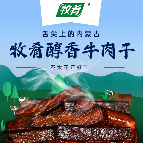 内蒙古牧肴牛肉干 500g/袋