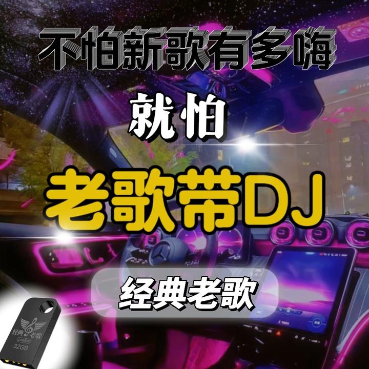 《DJ路歌》32G专属通用高音质汽车创意车载盘