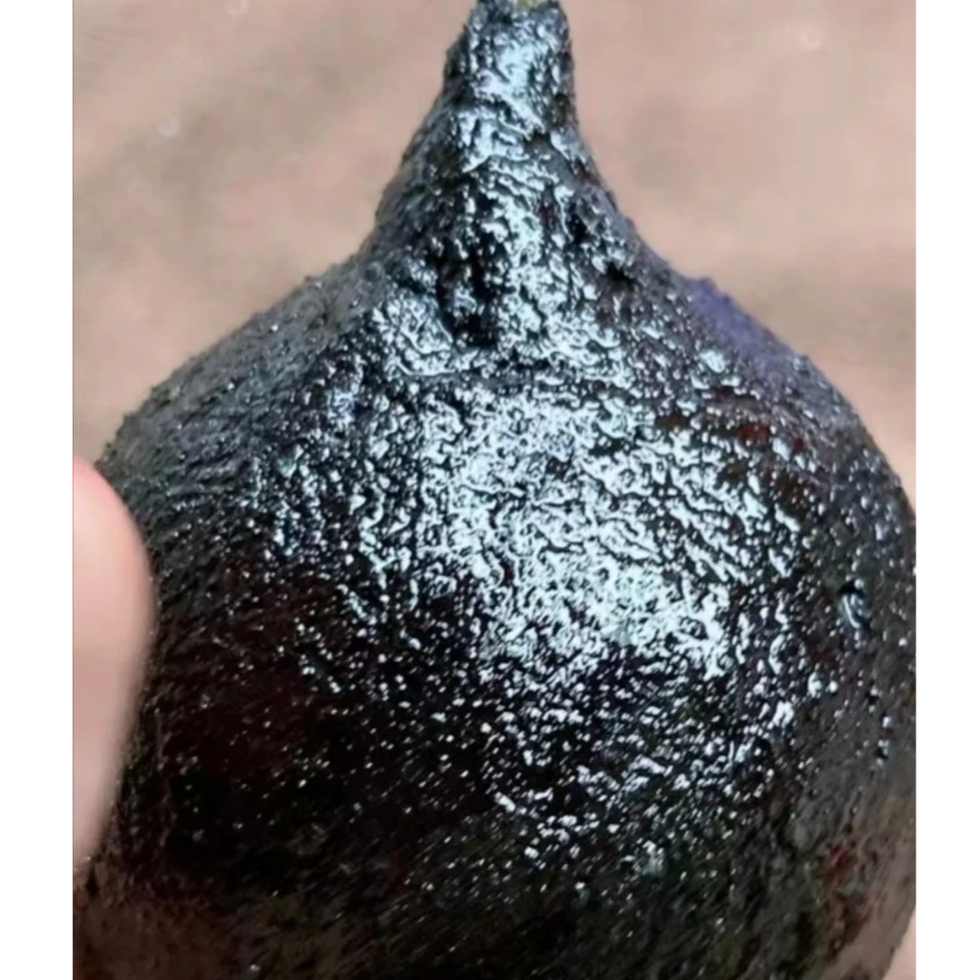 现切果 风化菩提老油果做脖挂 穿好绳子发货 1