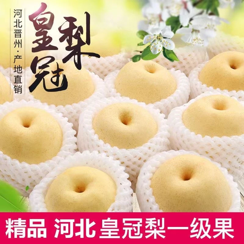 正宗皇冠梨10斤脆甜多汁梨子皮薄肉厚5斤梨子
