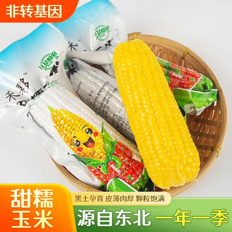 【试吃一根】2024年新加工铝箔装东北黄糯软糯粘香10支250g以上