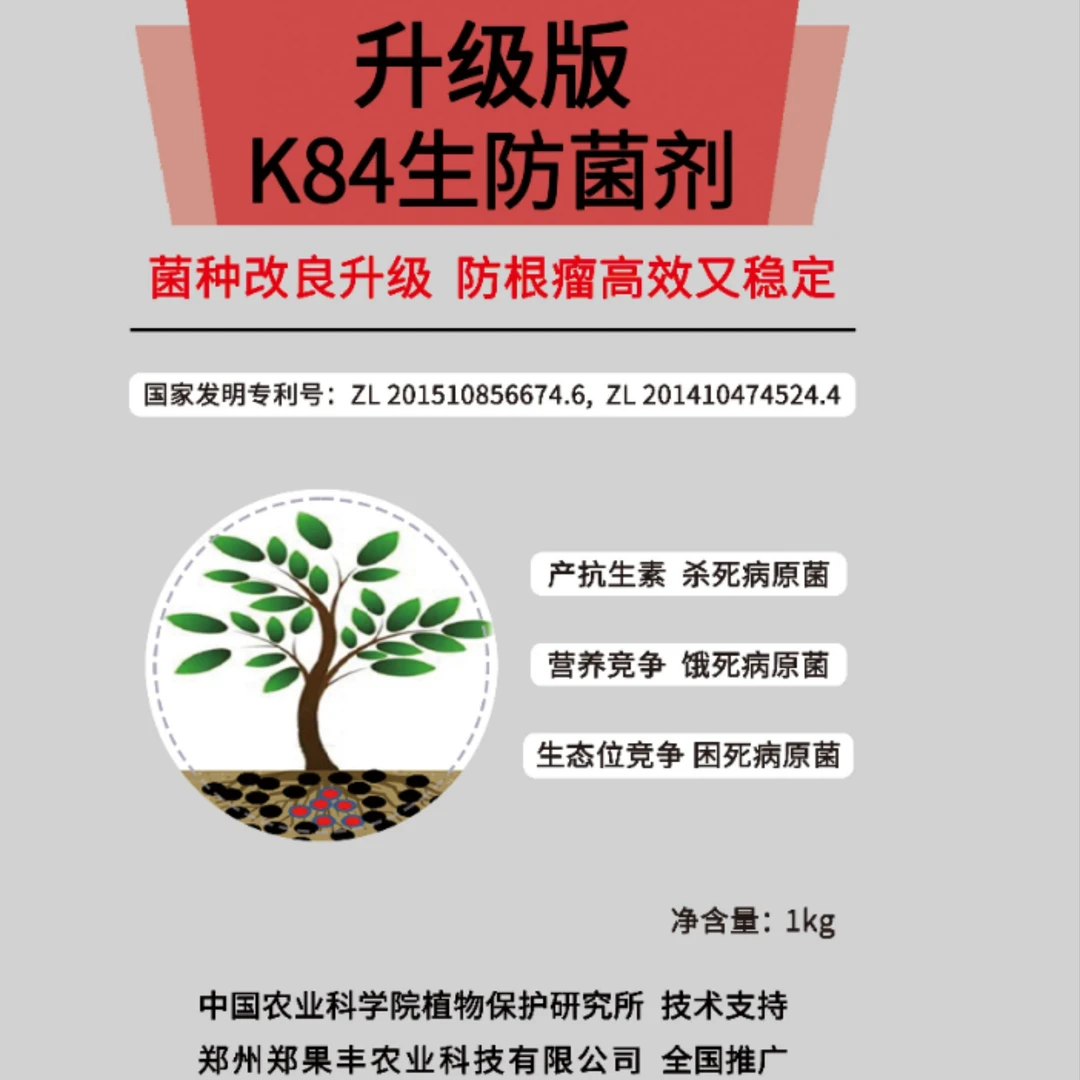 桃树樱桃根瘤预防生物菌k84