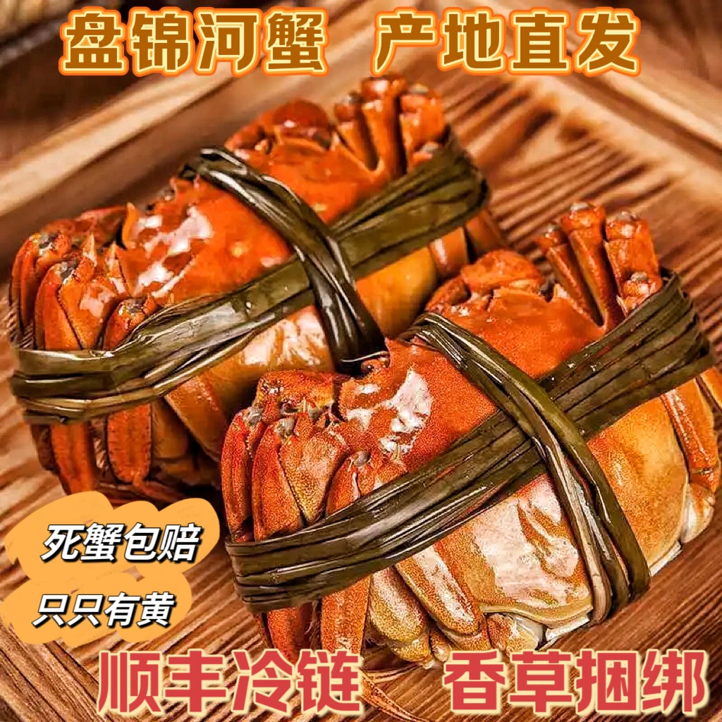 【活蟹】正宗盘锦河蟹母蟹3斤（1.4-1.6两规格）