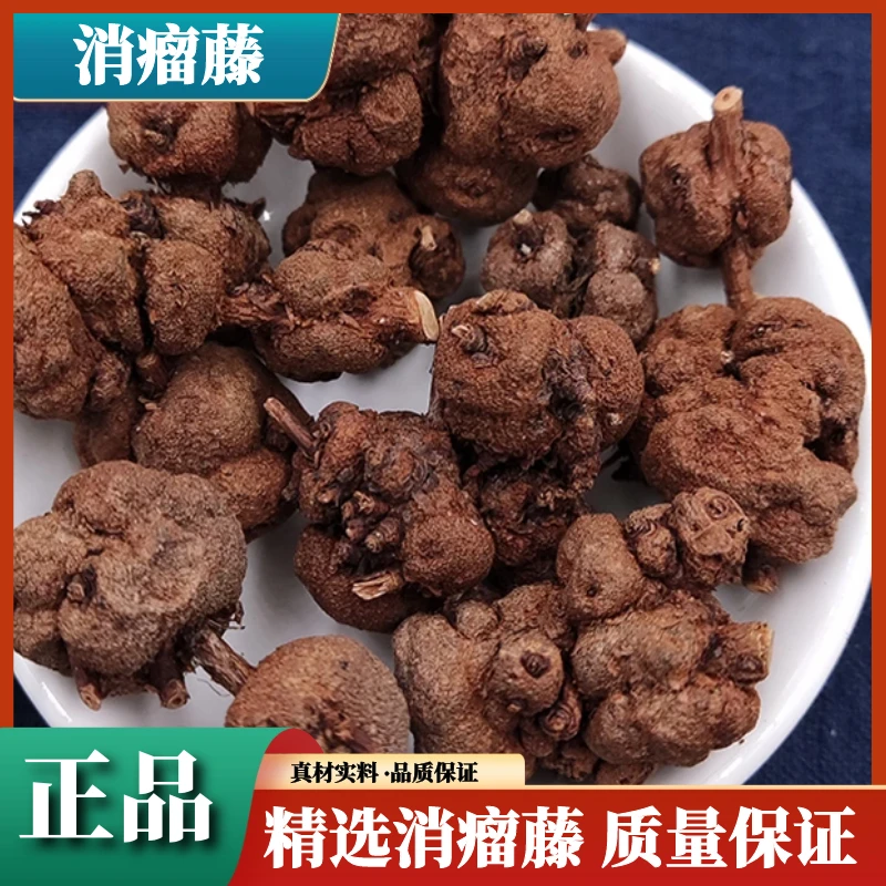 正品精选消瘤藤 消瘤子 星毛冠盖藤虎耳金丝桃消瘤果250克叶菜