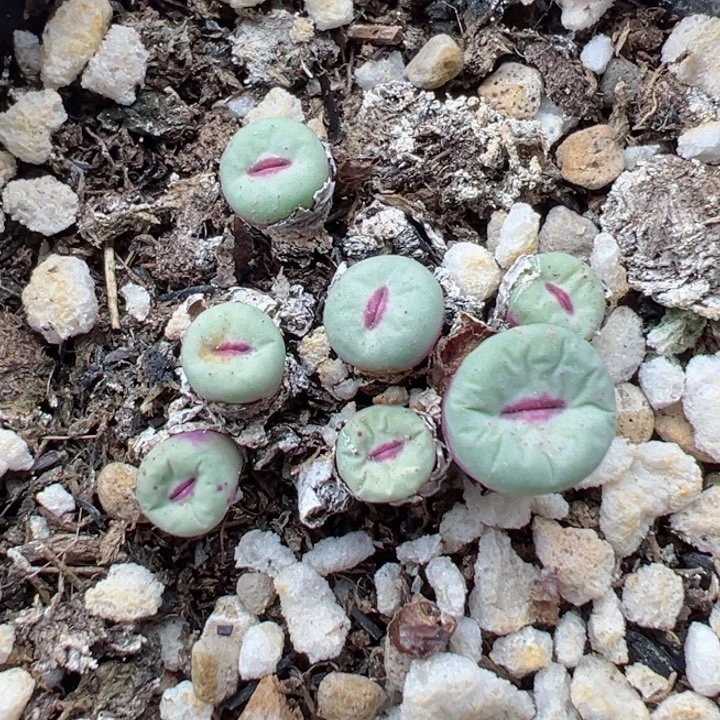 328干111111111111111