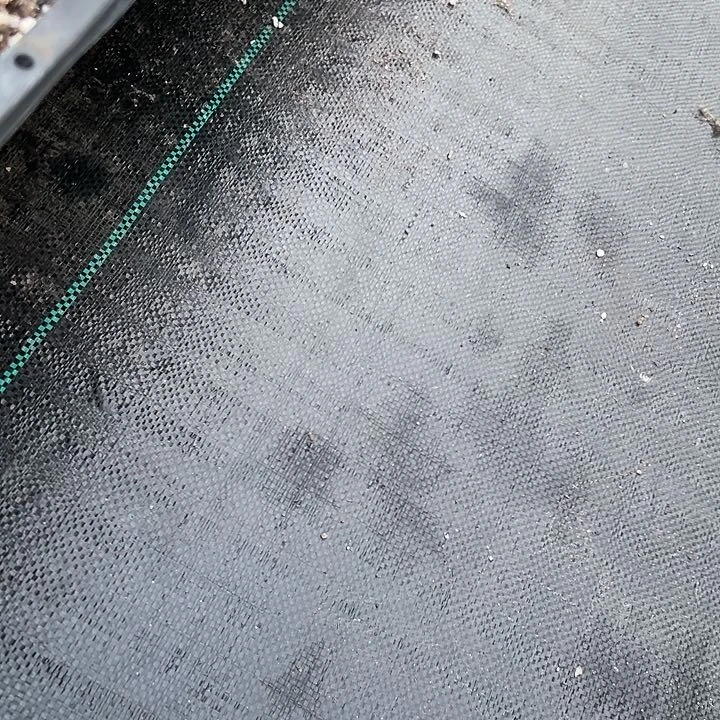 蔡蔡专拍11111,373高11111