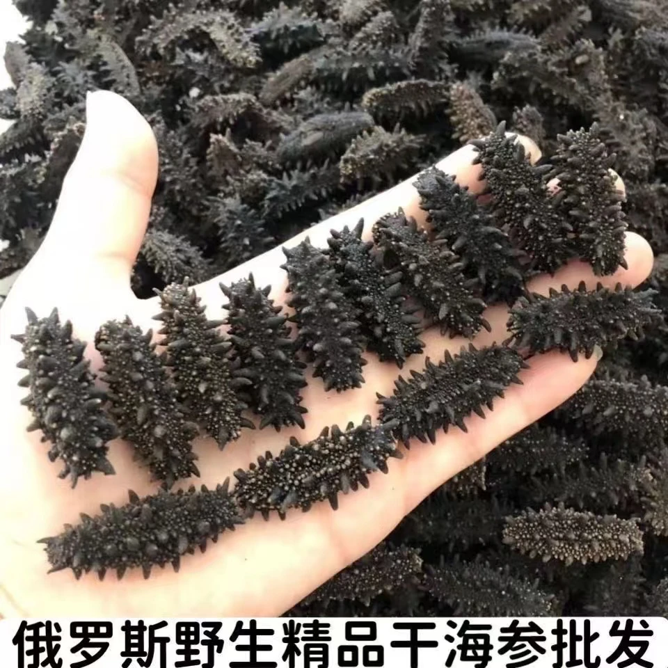 俄罗斯野生海参干海参家庭实惠装非即食海参干货老人孕妇零食营养