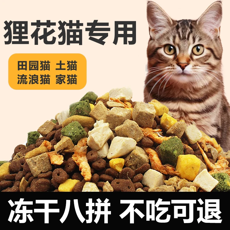 狸花猫专用猫粮10斤成猫幼猫全价增肥发腮营养冻干经济实惠5斤