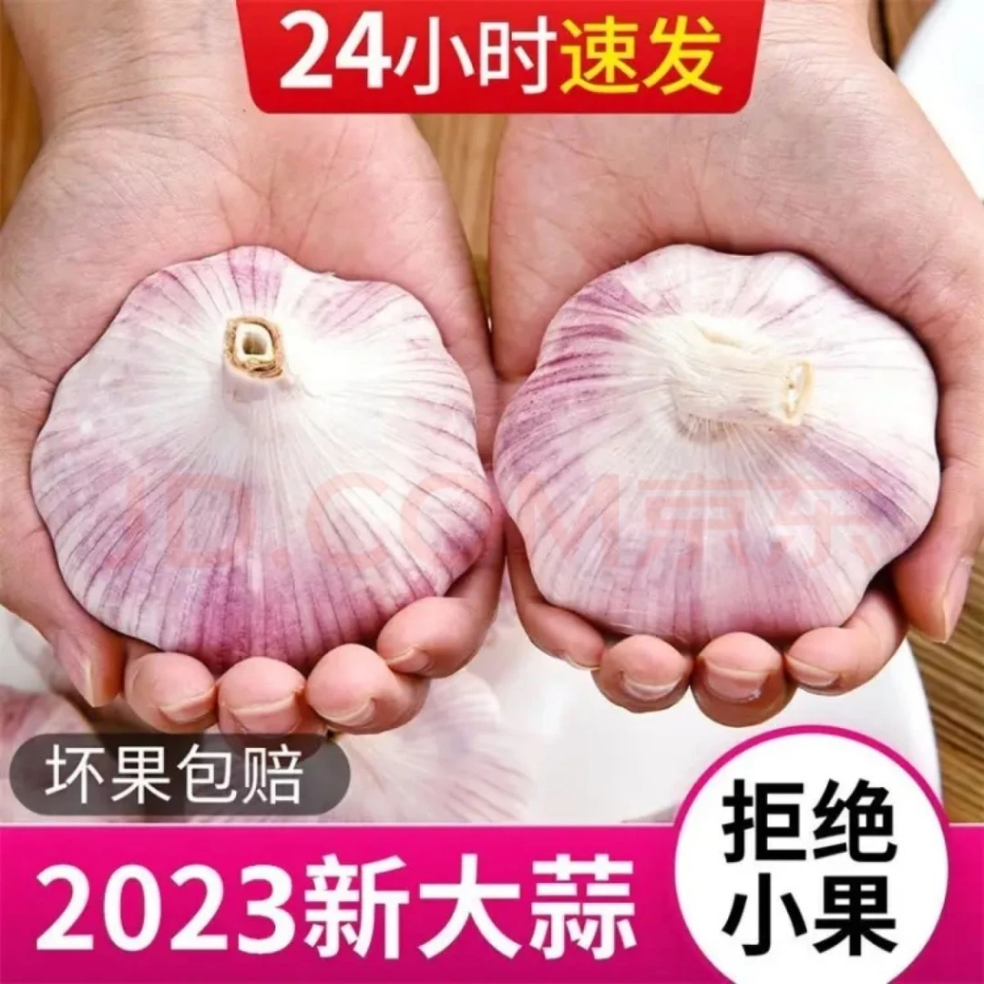 【新店半价】正宗金乡紫皮大蒜3/5斤产地直销新干大蒜干大蒜新蒜头