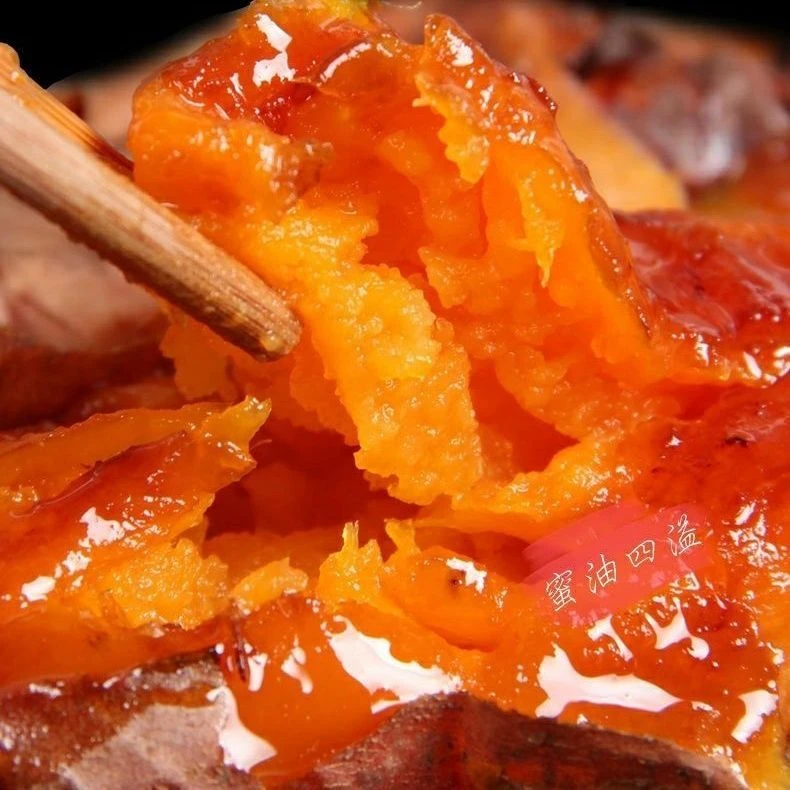 【新店半价】正宗沙地红薯3/5/9斤新鲜地瓜非小蜜薯富硒地瓜红薯苗