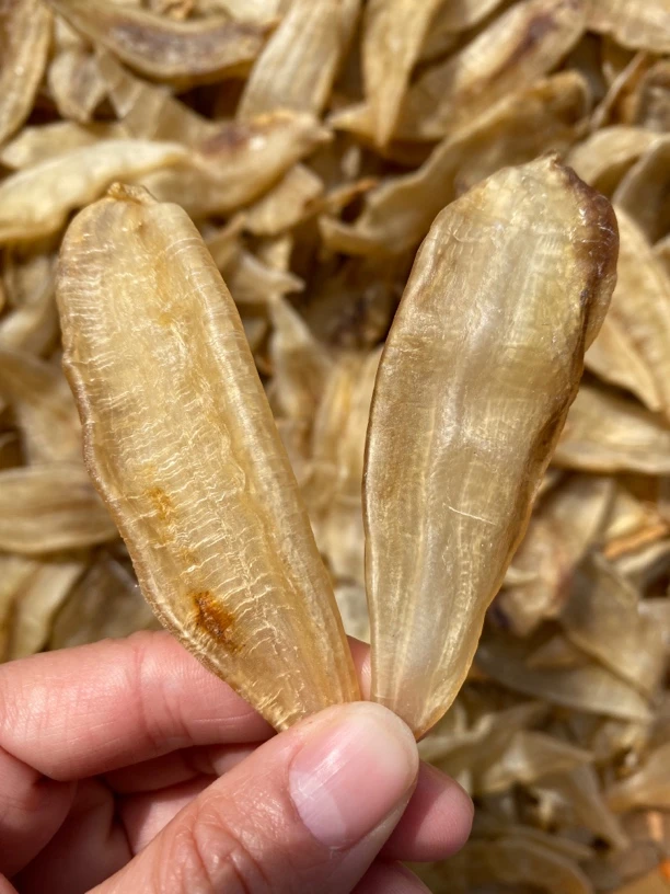 小金龙鱼胶干货花胶