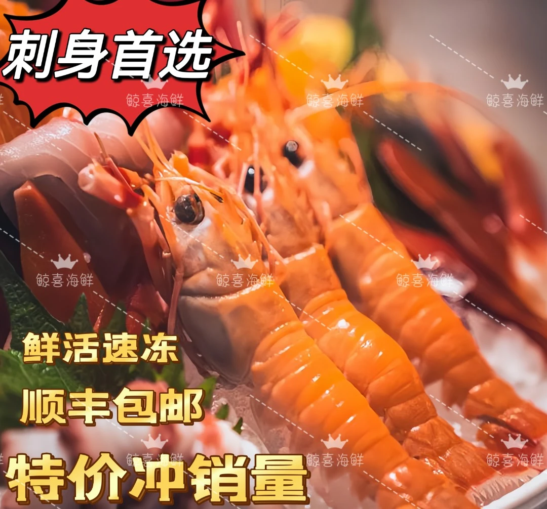 【中号】东海野生海鳌虾-日料刺身-生腌