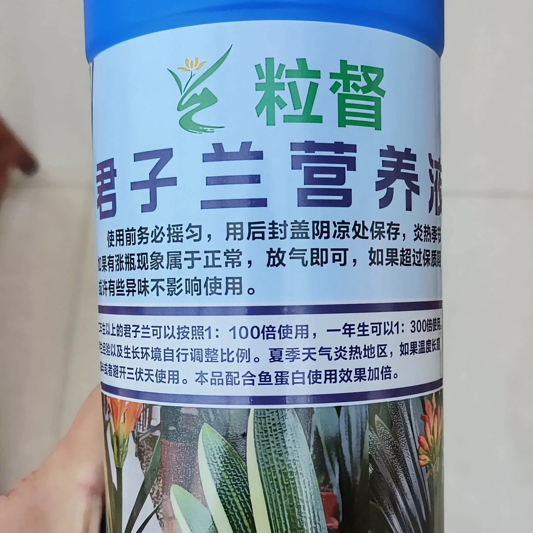 粒督君子兰营养液一瓶新疆西藏海南勿拍