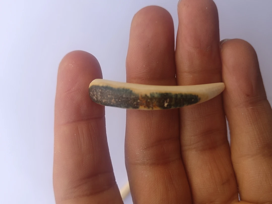 手工艺品,纯手工雕刻牙尖,适合佩戴,钥匙扣等等