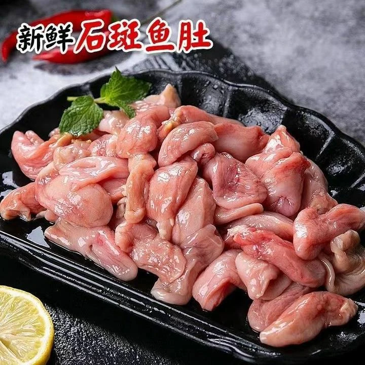 石斑鱼肚 (新鲜美味,冷运到家)
