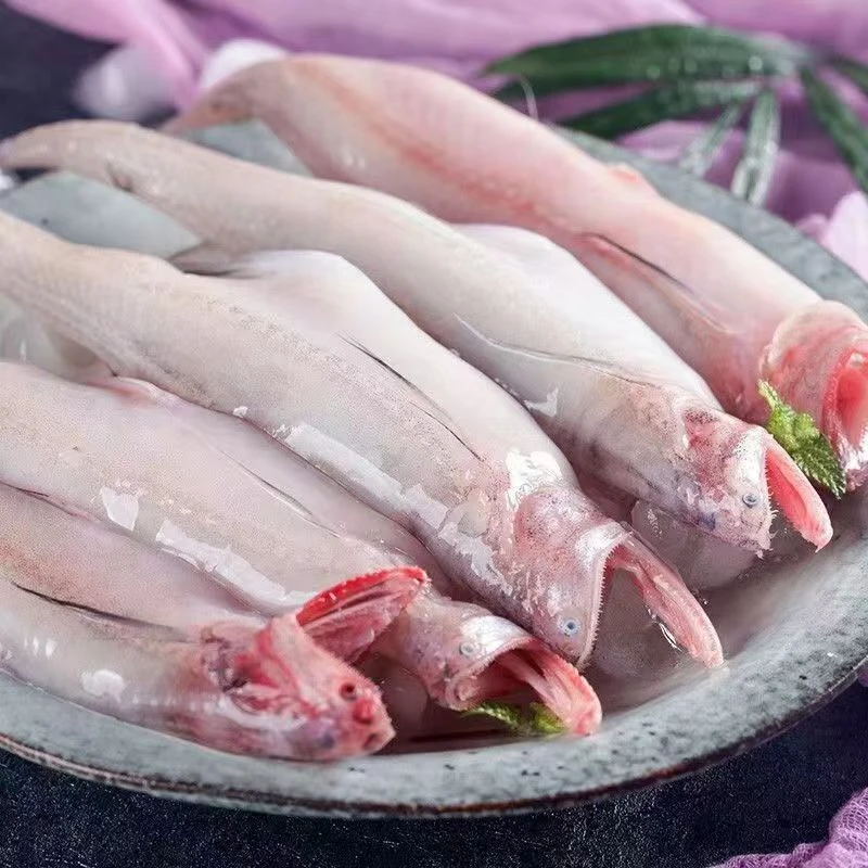 龙头鱼/ 豆腐鱼/丝丁鱼【直播现称】顺丰到家