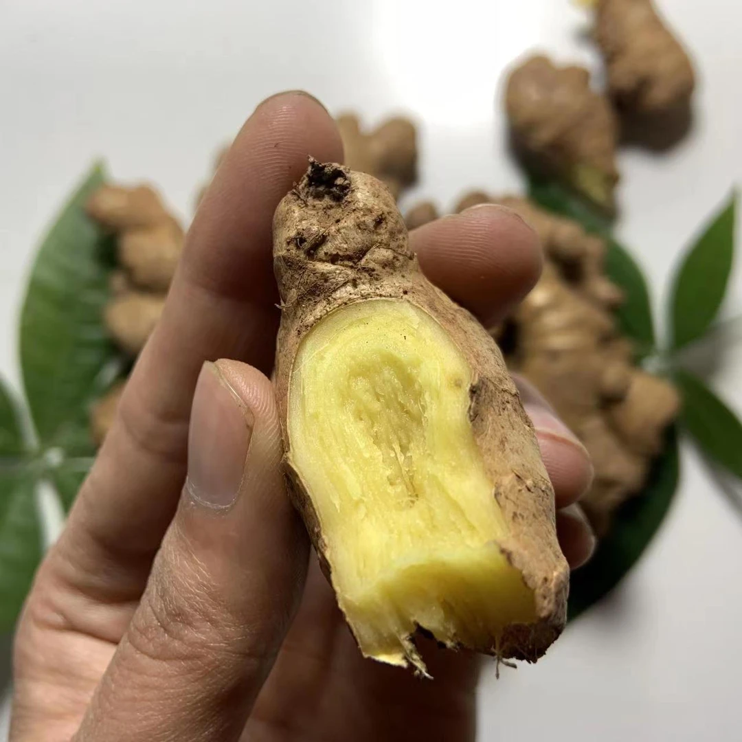 【两年老姜头/姜母】一指头两指头大小 有陈旧性黑疤痕破洞