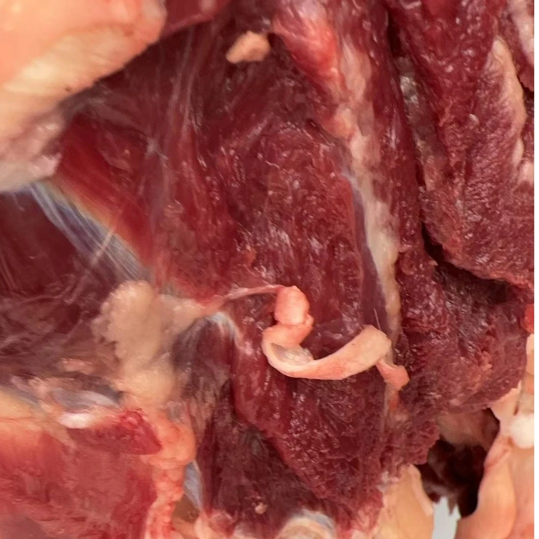 新鲜宰杀 小公牛肉 牛腩肉 剔骨肉 腿肉【下单备注】牛肉同城配
