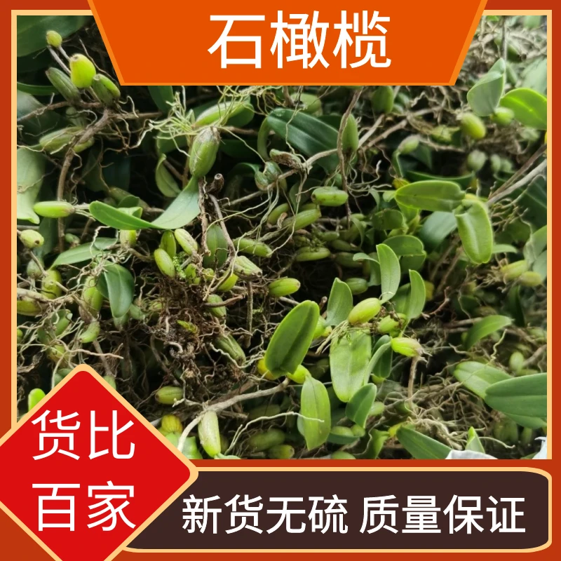 现采石橄榄新鲜双叶石仙桃果上叶岩珠石枣炖汤煲汤补品原材料叶菜