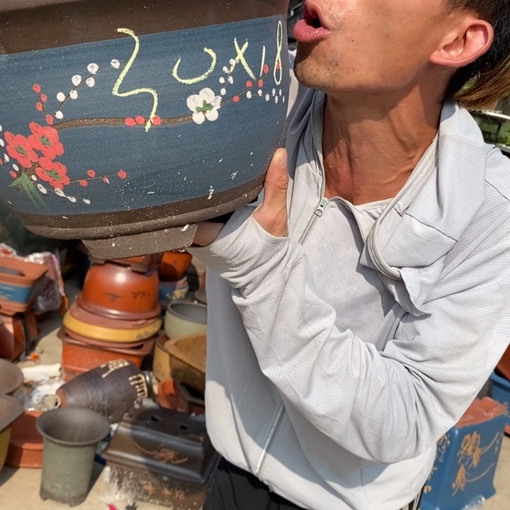 红陶20CM(含)-50CM(不含)花盆底的味道