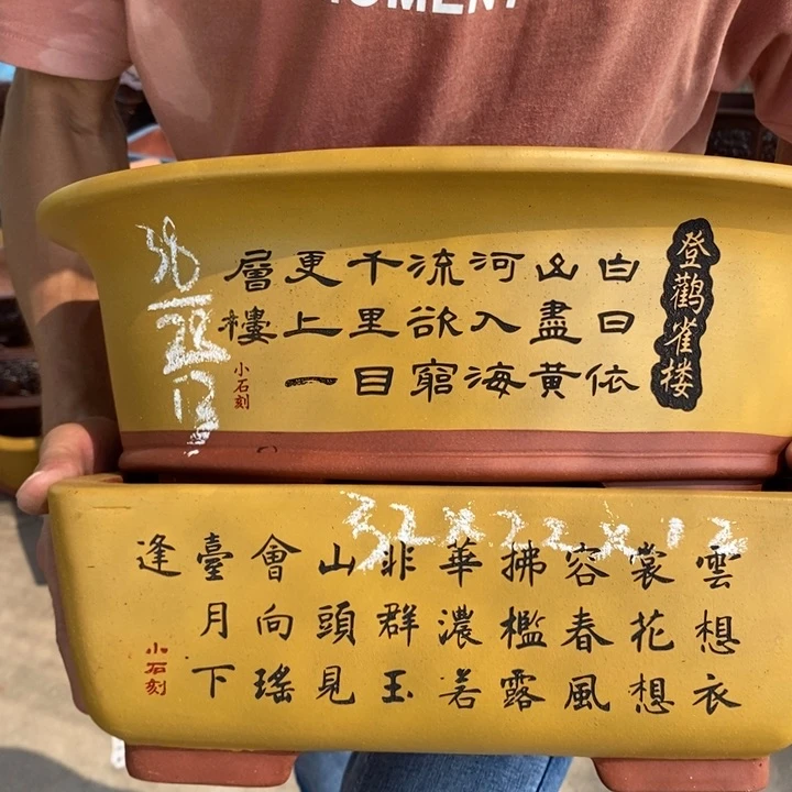 红陶20CM(含)-50CM(不含)花盆花开