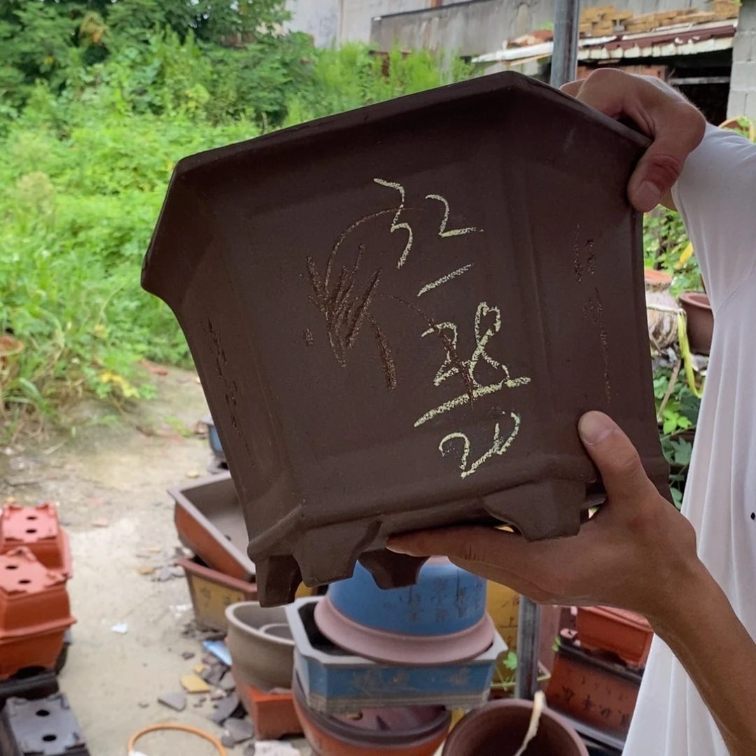 红陶20CM（含）-50CM（不含）紫砂艺术学院