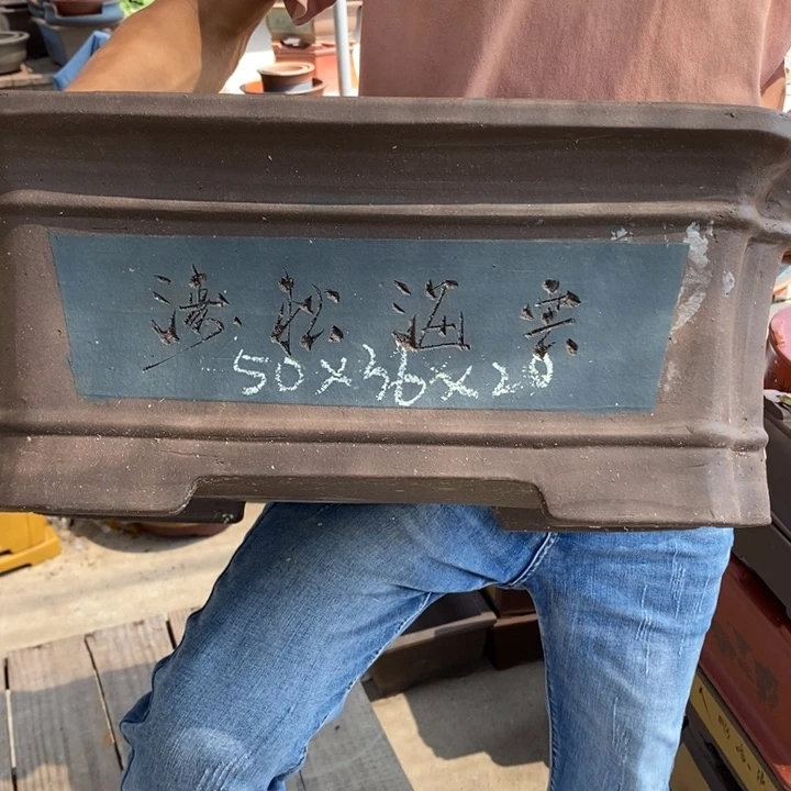 红陶20CM（含）-50CM（不含）花盆花开
