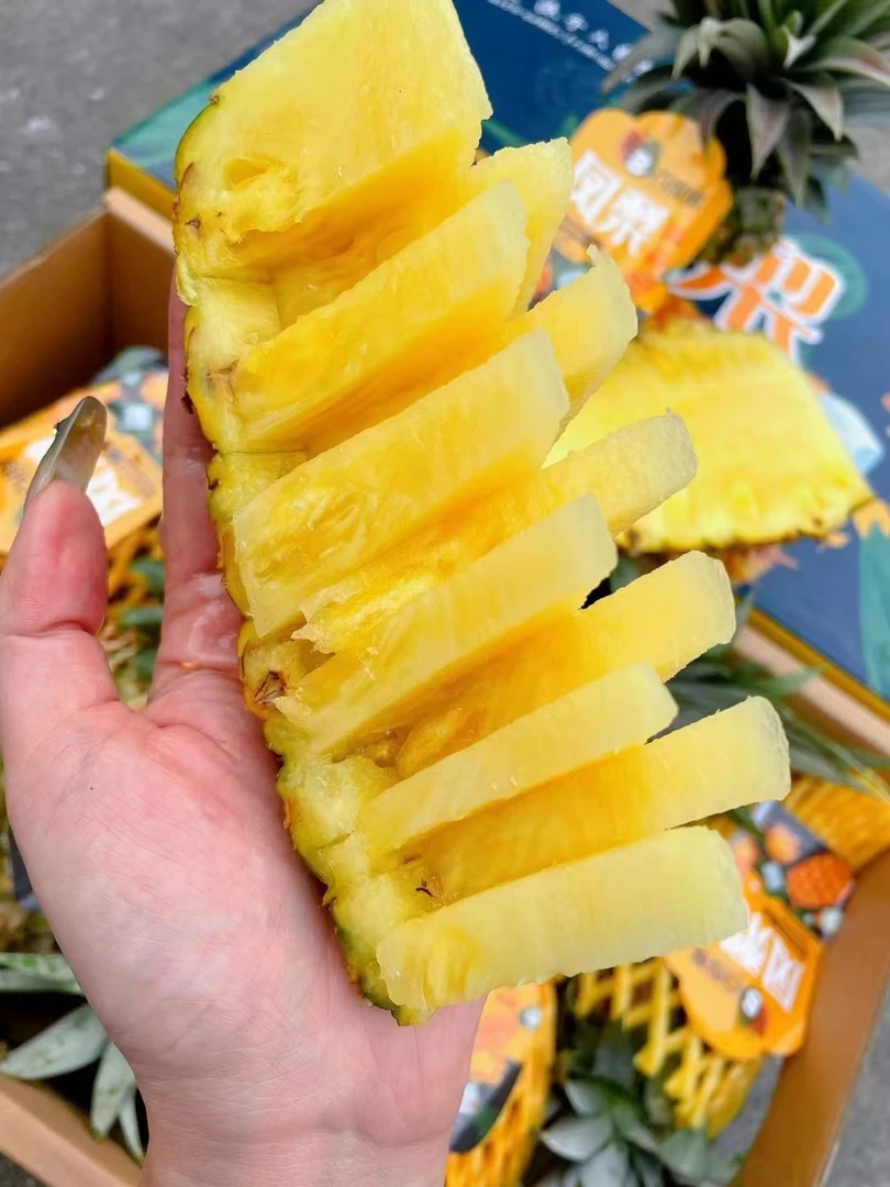 凤梨25元一个