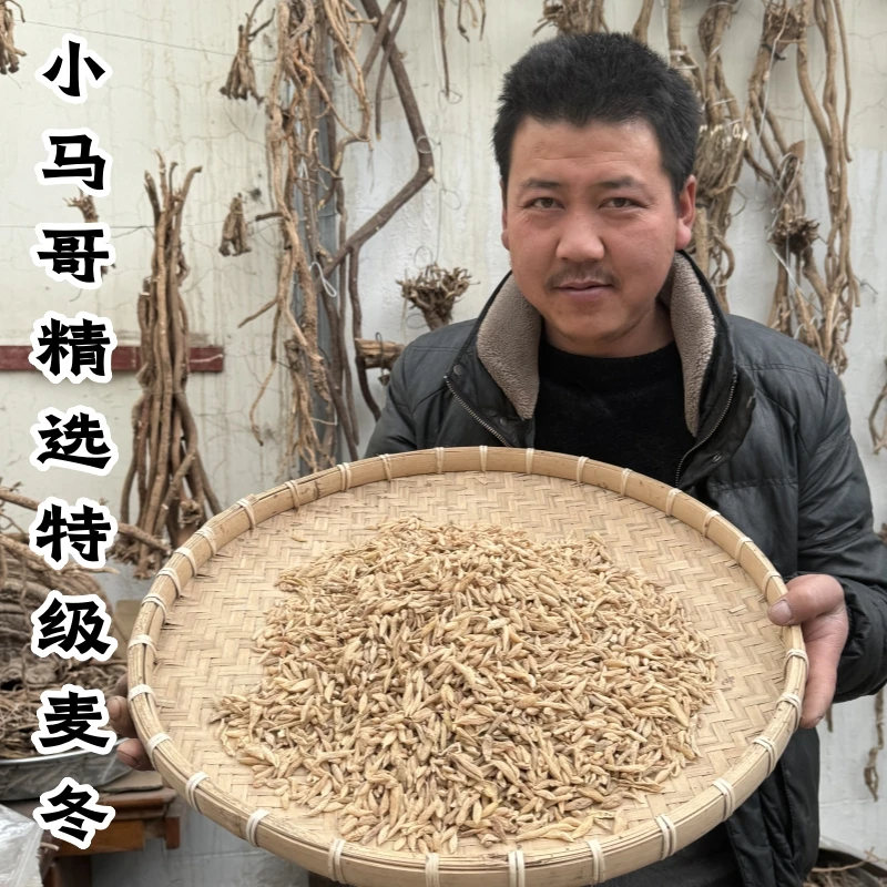 甘肃高原野外采挖麦冬500克包邮新货